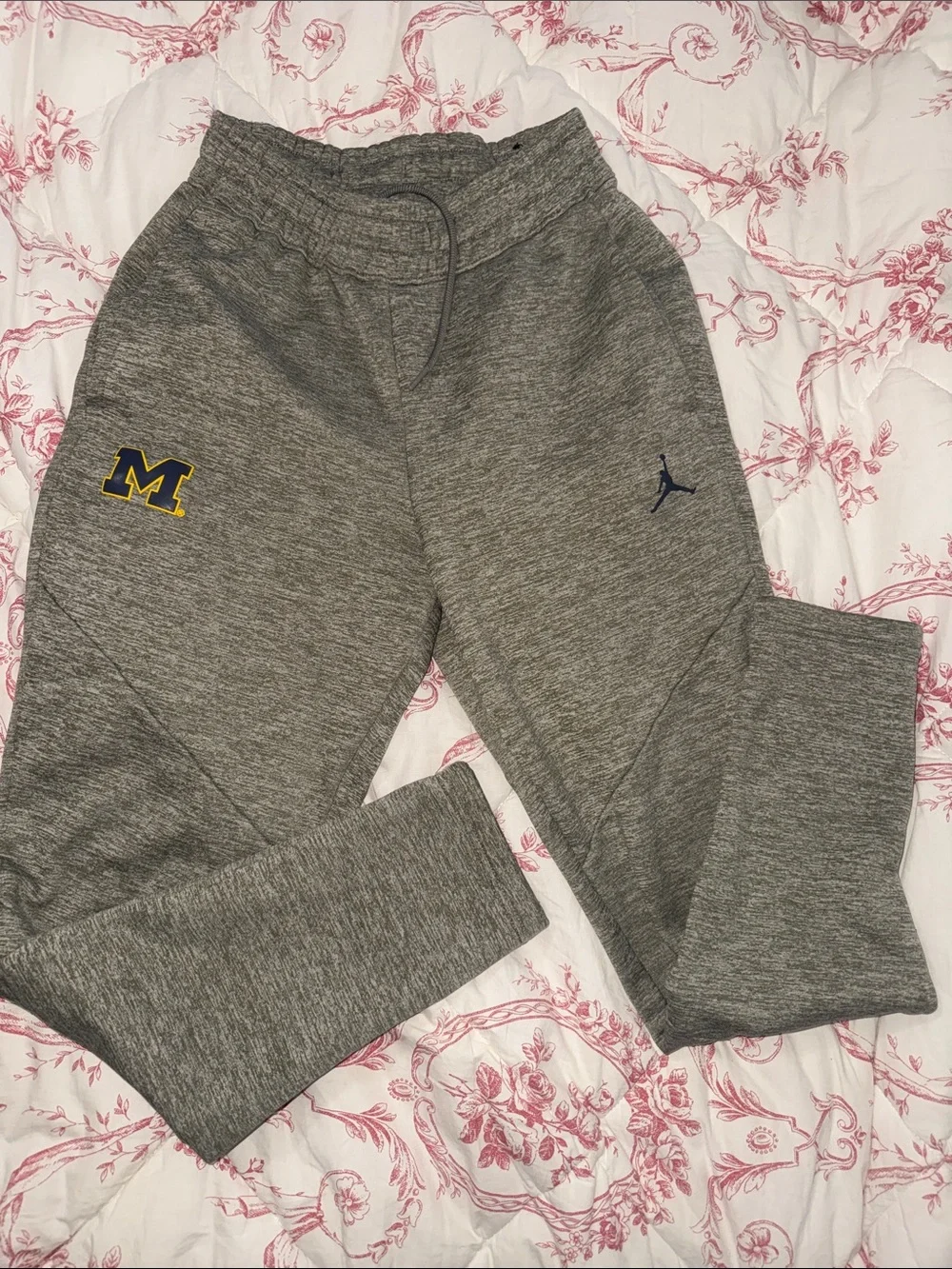 Jordan Gray Joggers with Navy and Yellow Michigan M